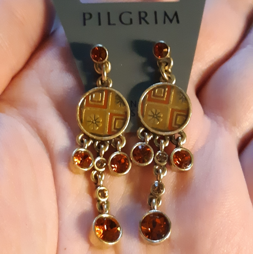 Cute pair of dangly earrings NWT!!